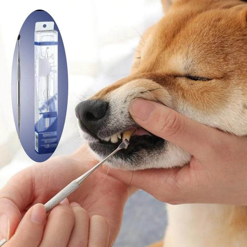 Pet beauty pen