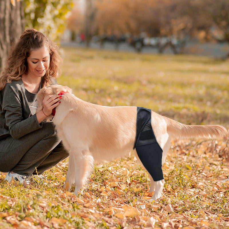 Pet Knee Pads For Joint Injury Recovery Legs Protector Dog Thigh Brace Wrap Adjustable Support Belt Post-operative Fixation