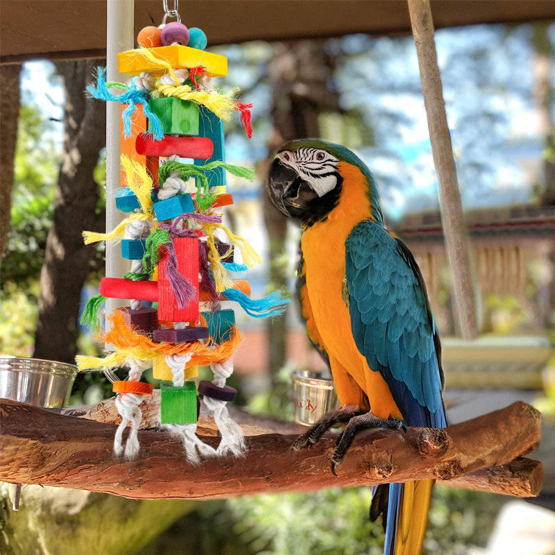 Wooden Color Nibbling Toy Medium And Large Parrot Bird